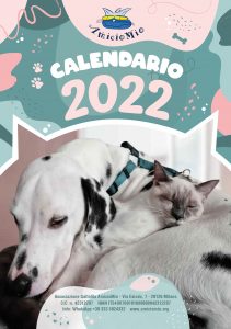 Amicio Mio calendario 2022